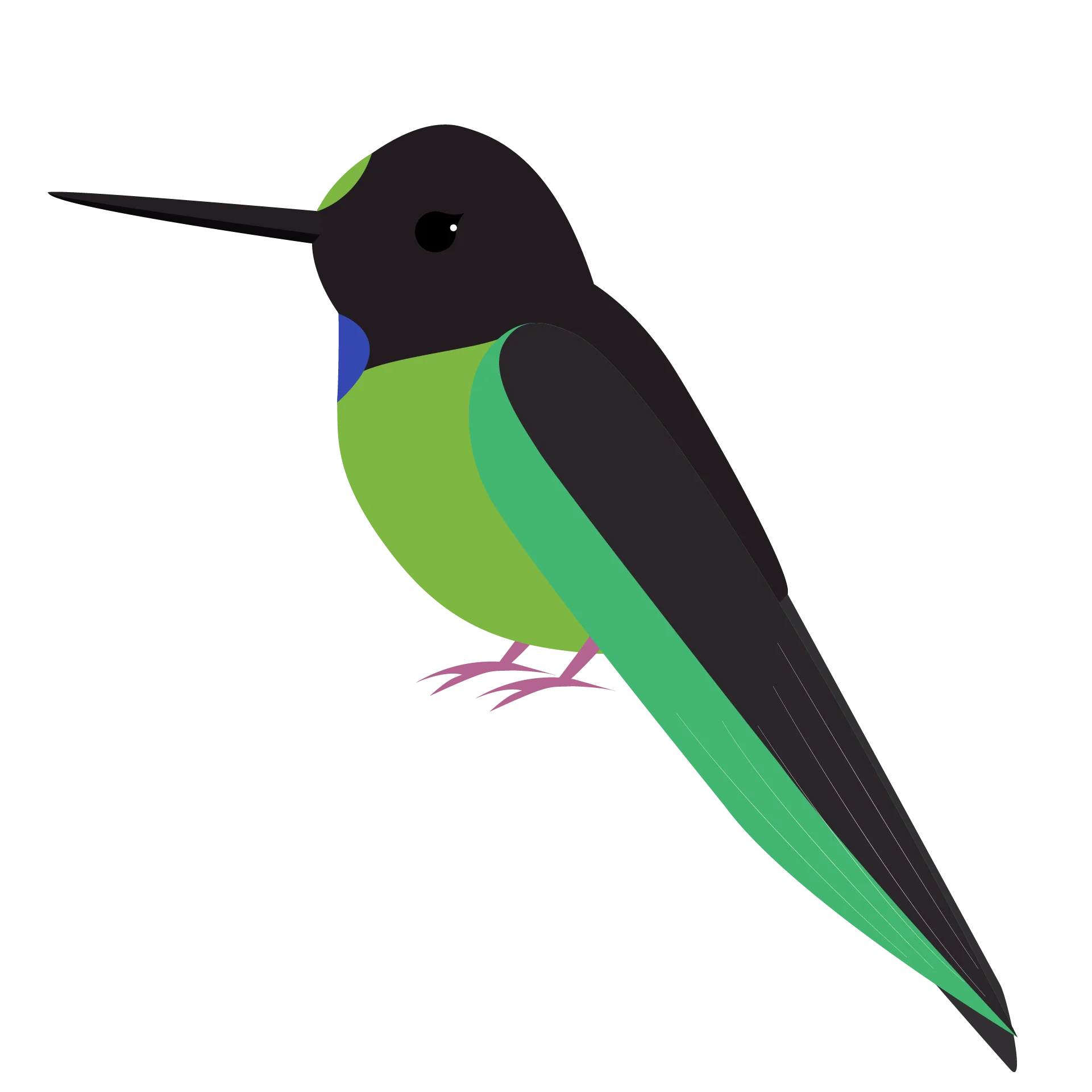 Stylized Green and Black Minimalist Hummingbird Clipart Design