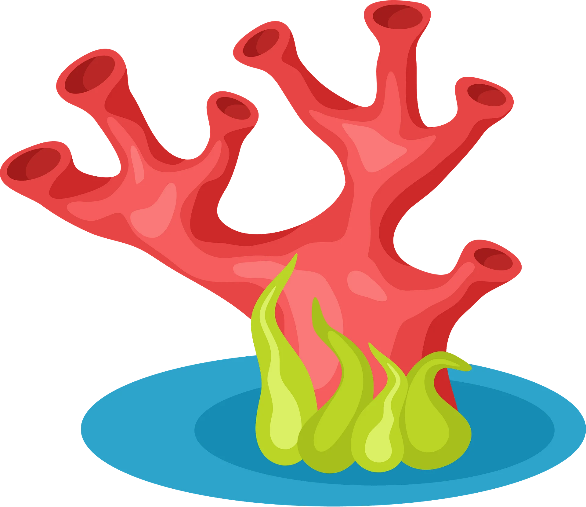 Whimsical Coral Reef Clipart with Bright Red Branches and Green Base