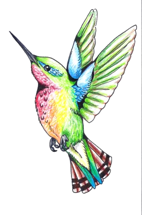 Whimsical Watercolor Hummingbird Clipart: A Dancing Rainbow of Feathered Elegance