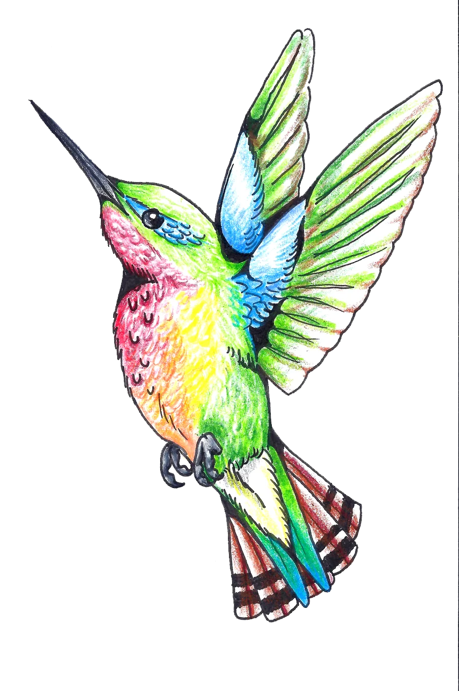 Whimsical Watercolor Hummingbird Clipart: A Dancing Rainbow of Feathered Elegance