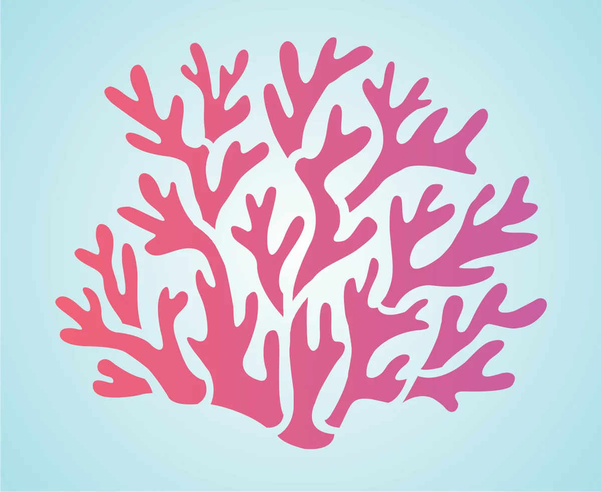 Delicate Pink Coral Clipart Illustration on Soft Pastel Background