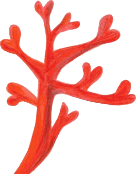 Delicate Red Marine Branching Coral Clipart Illustration