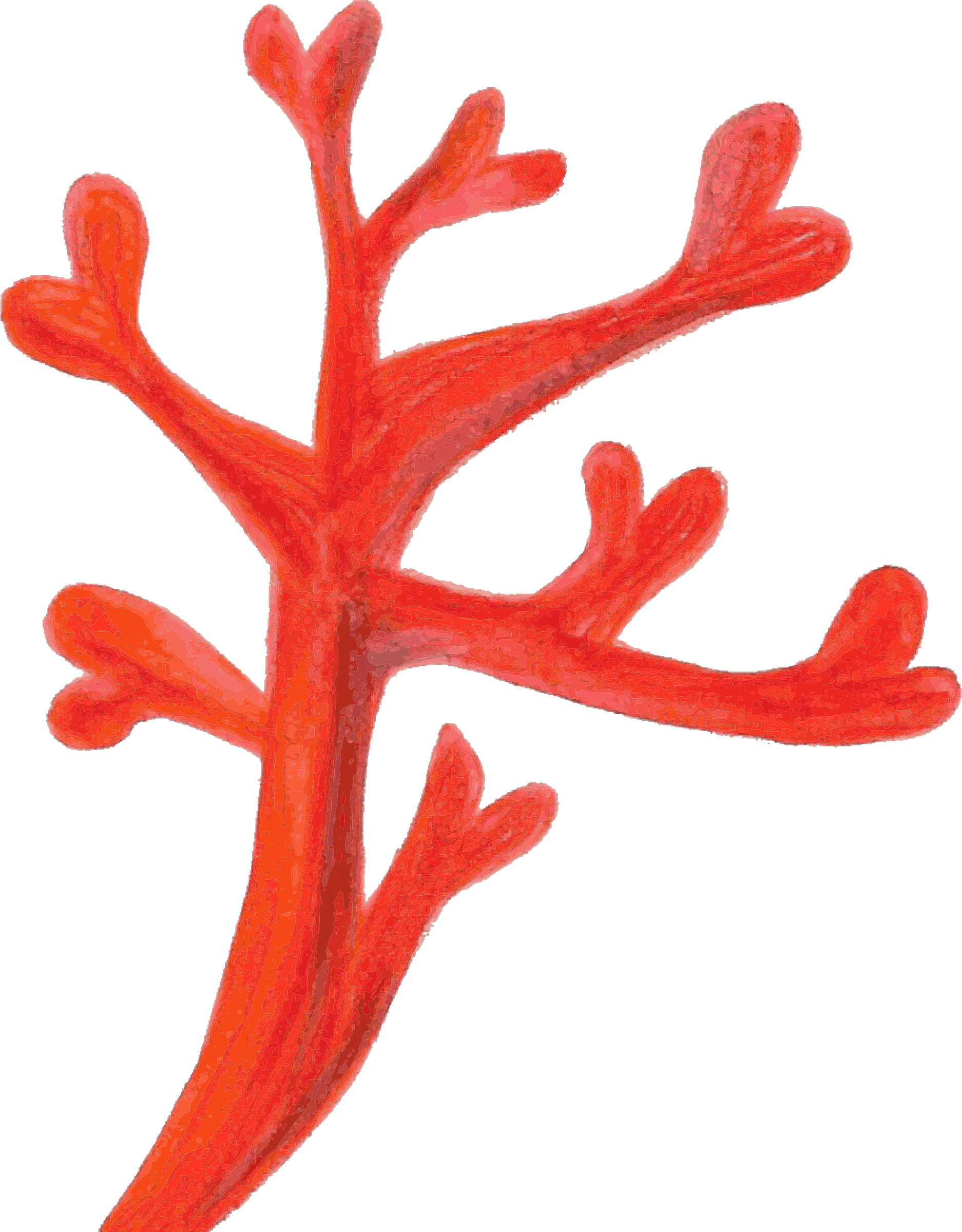 Delicate Red Marine Branching Coral Clipart Illustration