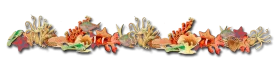 Elegant Marine Ecosystem Coral Reef Decorative Clipart Illustration