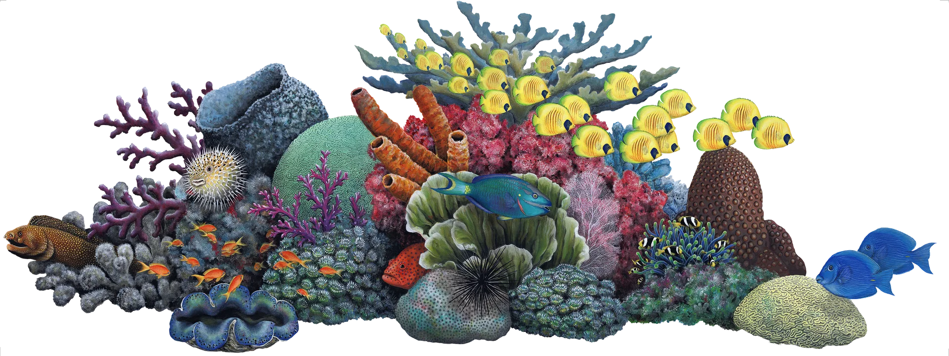 Enchanting Underwater Coral Reef Ecosystem Clipart Illustration