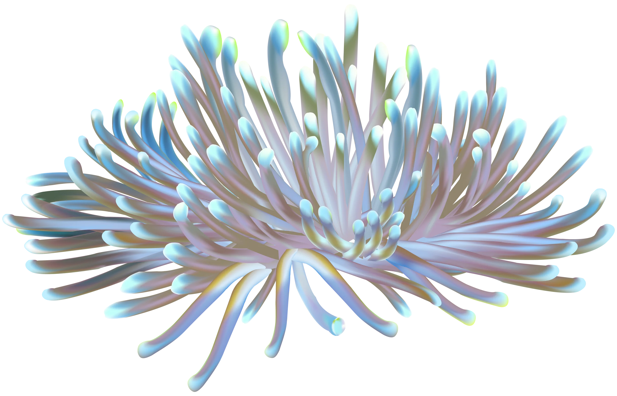 Ethereal Sea Anemone Clipart: Delicate Marine Life Illustration with Soft Pastel Hues