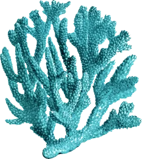 Ethereal Turquoise Coral Branch Silhouette Clipart Illustration