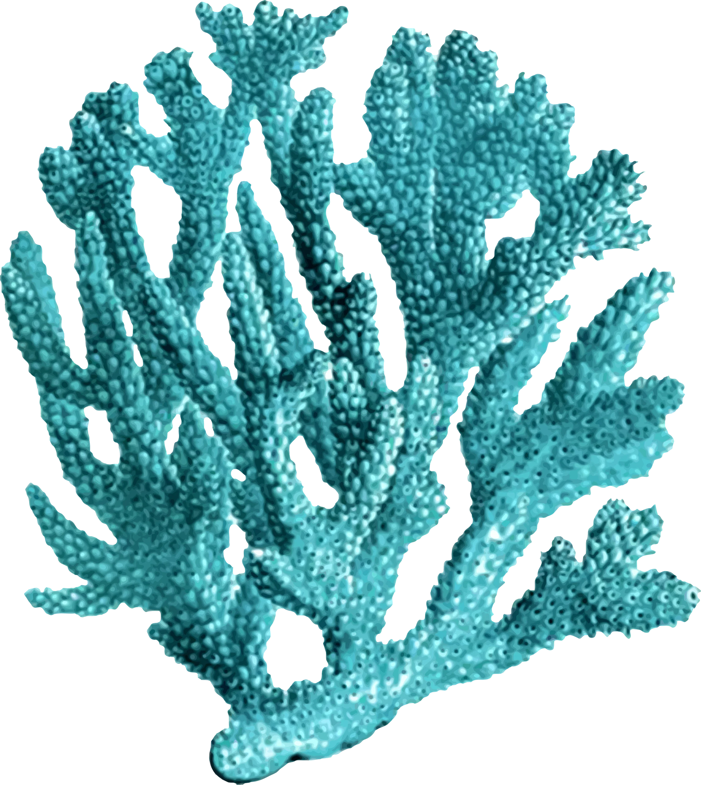 Ethereal Turquoise Coral Branch Silhouette Clipart Illustration