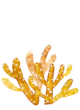 Golden Seaweed Coral Clipart: Ethereal Ocean Botanical Illustration