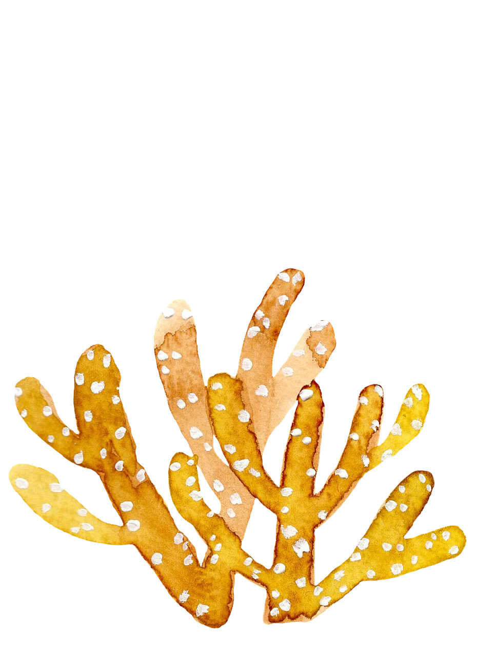 Golden Seaweed Coral Clipart: Ethereal Ocean Botanical Illustration