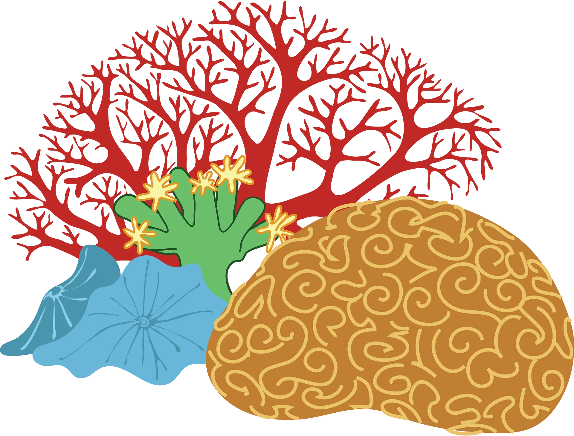 Intricate Marine Ecosystem Illustration: Coral Reef Clipart with Organic Forms