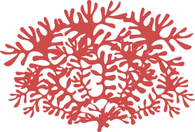 Intricate Red Marine Botanical Coral Clipart Illustration of Branching Silhouette