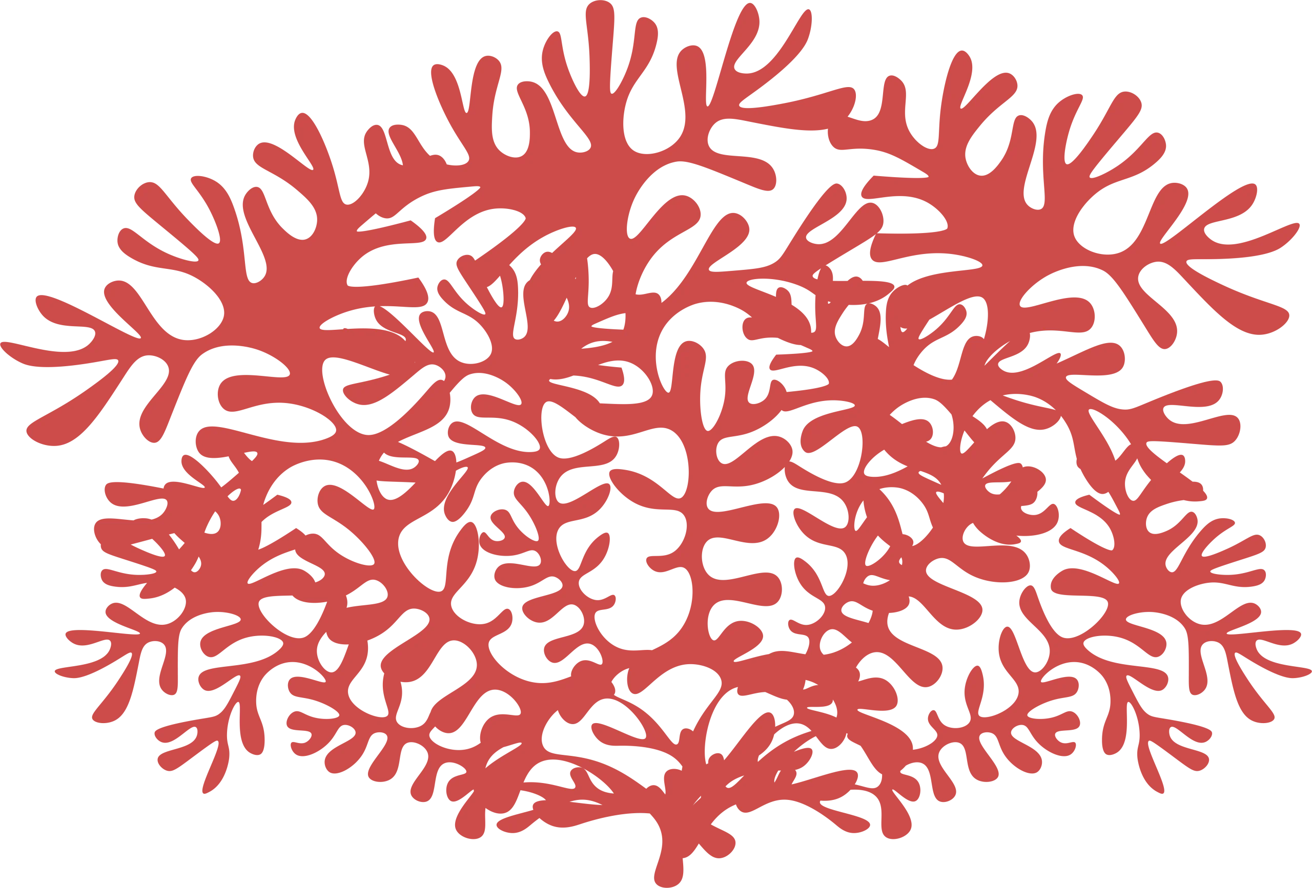 Intricate Red Marine Botanical Coral Clipart Illustration of Branching Silhouette