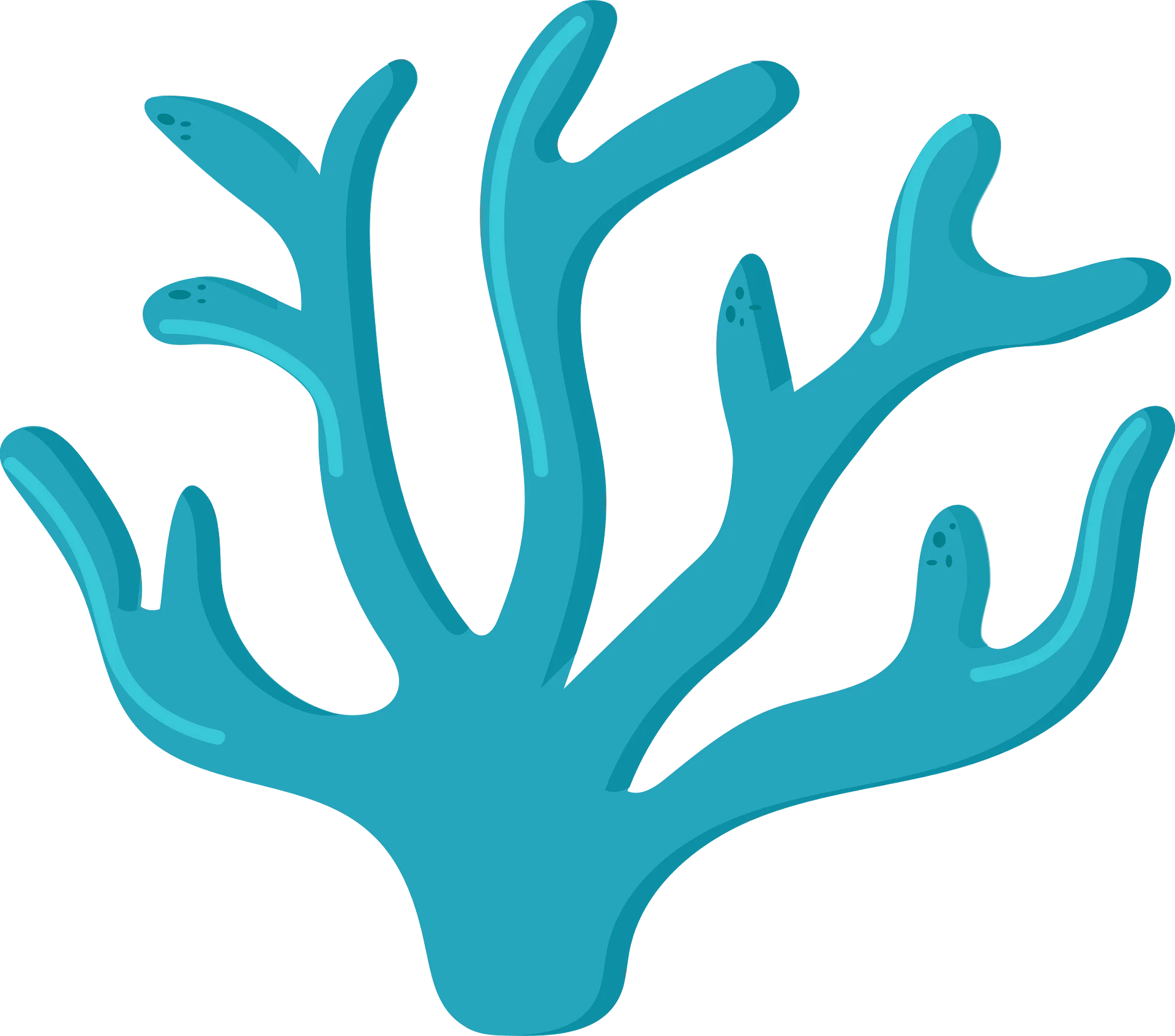 Stylized Turquoise Marine Coral Clipart Illustration with Flowing Branches
