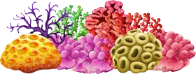 Underwater Coral Reef Ecosystem Illustration Clipart with Diverse Marine Formations