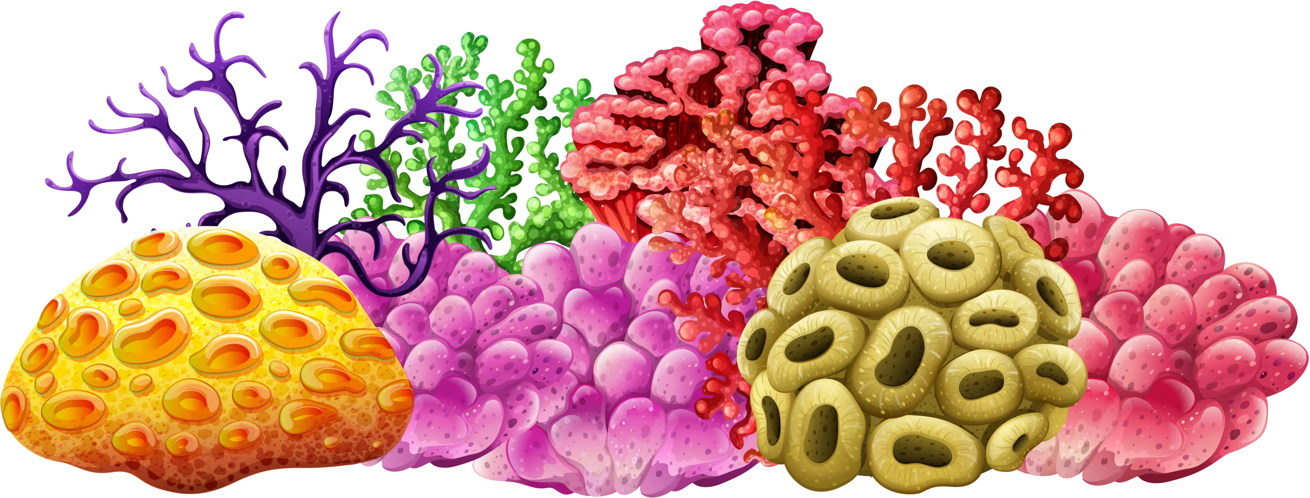 Underwater Coral Reef Ecosystem Illustration Clipart with Diverse Marine Formations