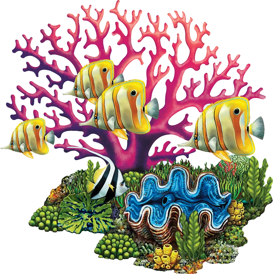 Underwater Marine Ecosystem Clipart: Tropical Reef Harmony and Aquatic Life