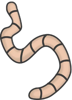 Curvy Segmented Earthworm Clipart: Minimalist Squiggly Design for Digital Art