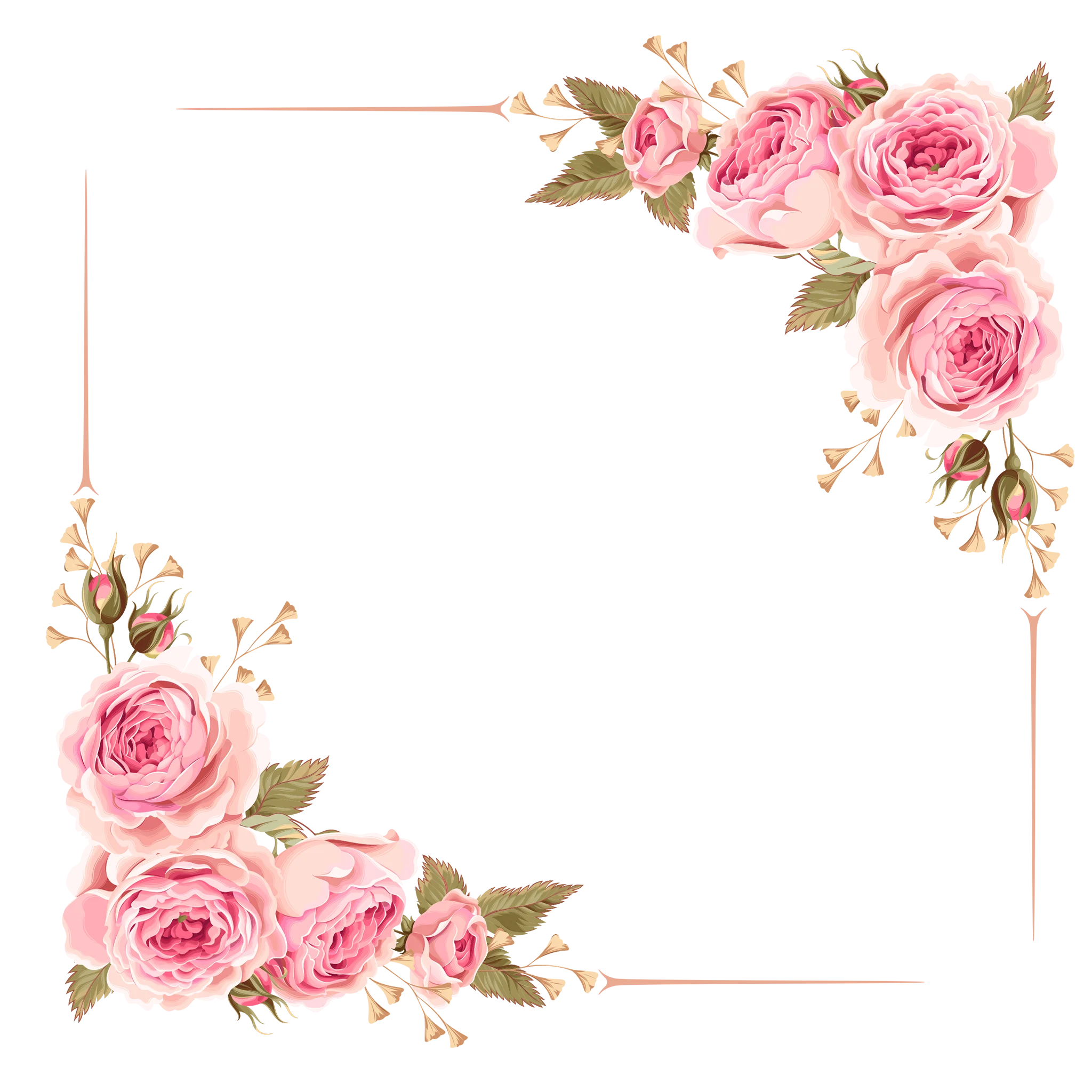Delicate Blush Pink Roses Watercolor Floral Corner Clipart Frame Design