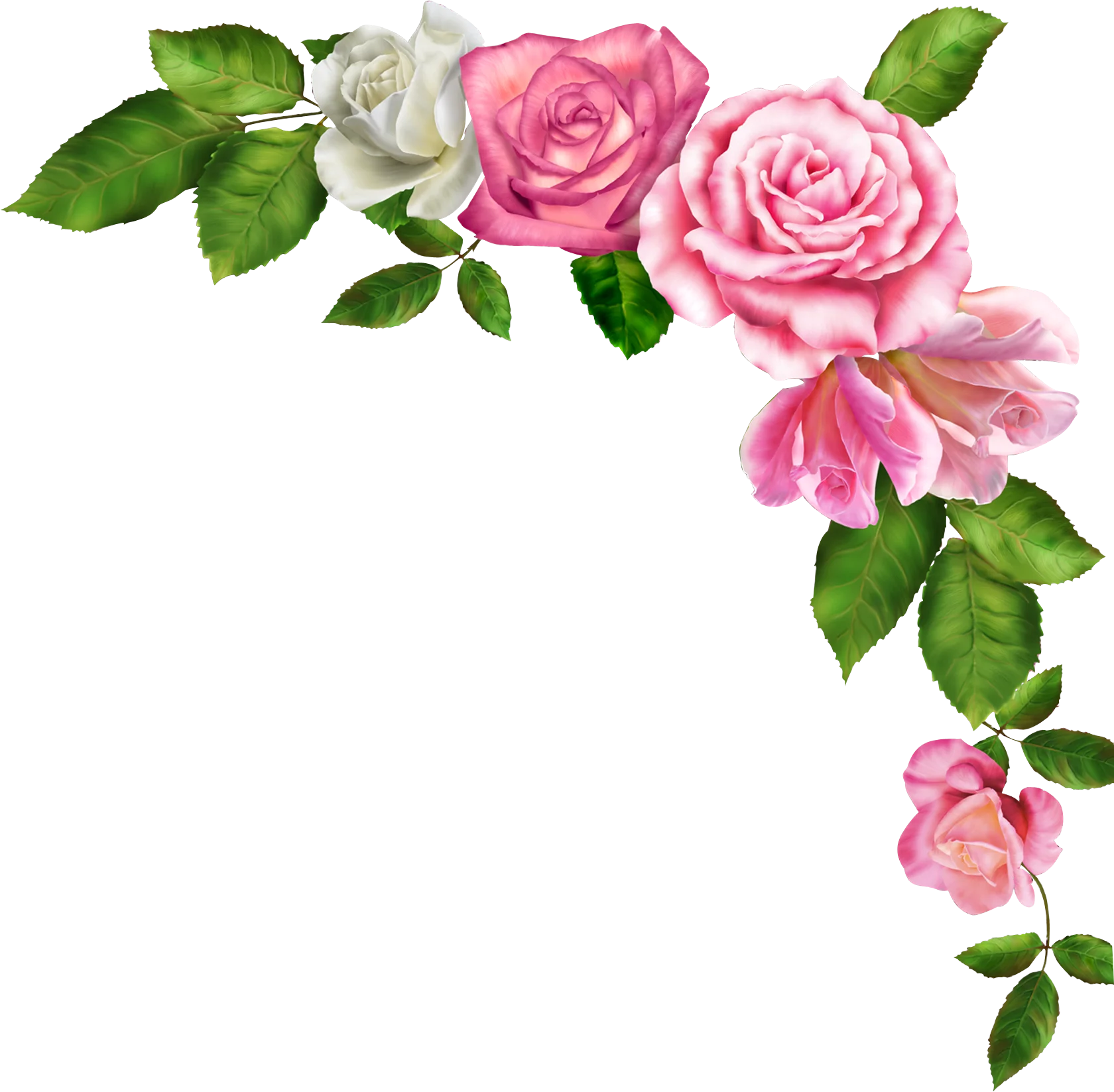 Delicate Pink and White Roses Floral Corner Clipart with Lush Green Leaves