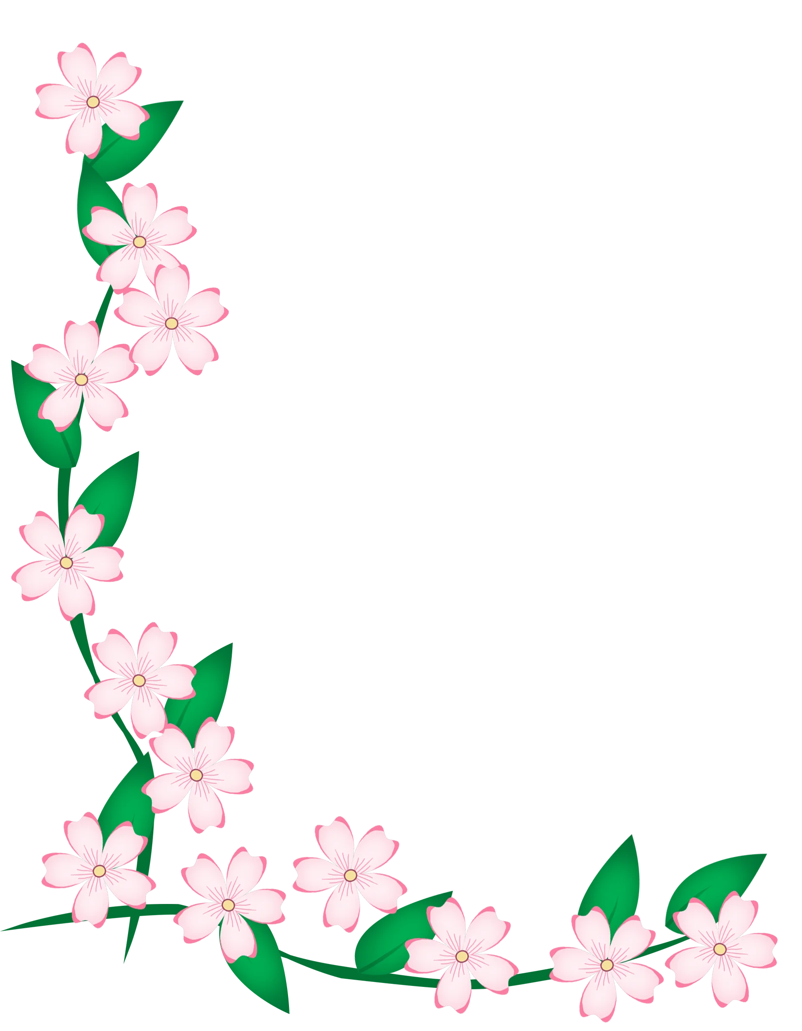 Delicate Pink Cherry Blossoms Border Clipart with Soft Green Leaves