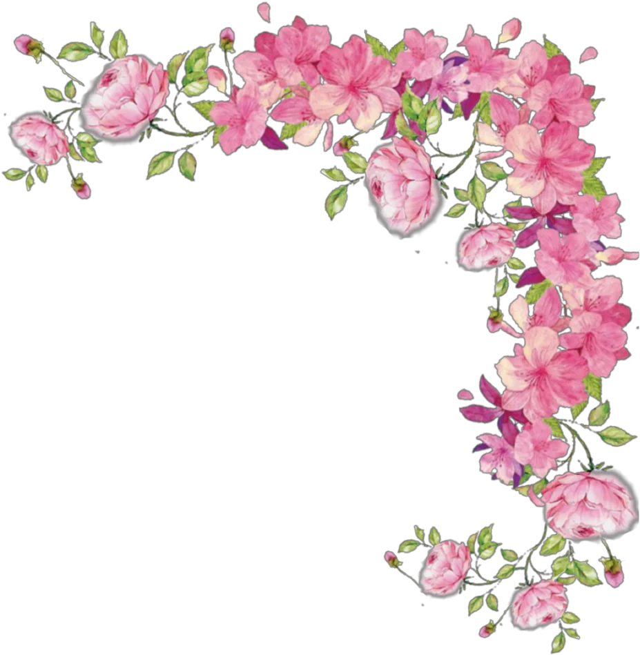 Delicate Pink Floral Corner Border Watercolor Clipart with Soft Botanical Arrangement