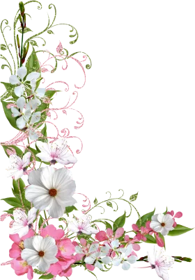 Elegant Pink and White Floral Corner Border Clipart with Delicate Swirling Vines