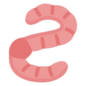 Playful Pink Squiggly Earthworm Cartoon Clipart Illustration Design