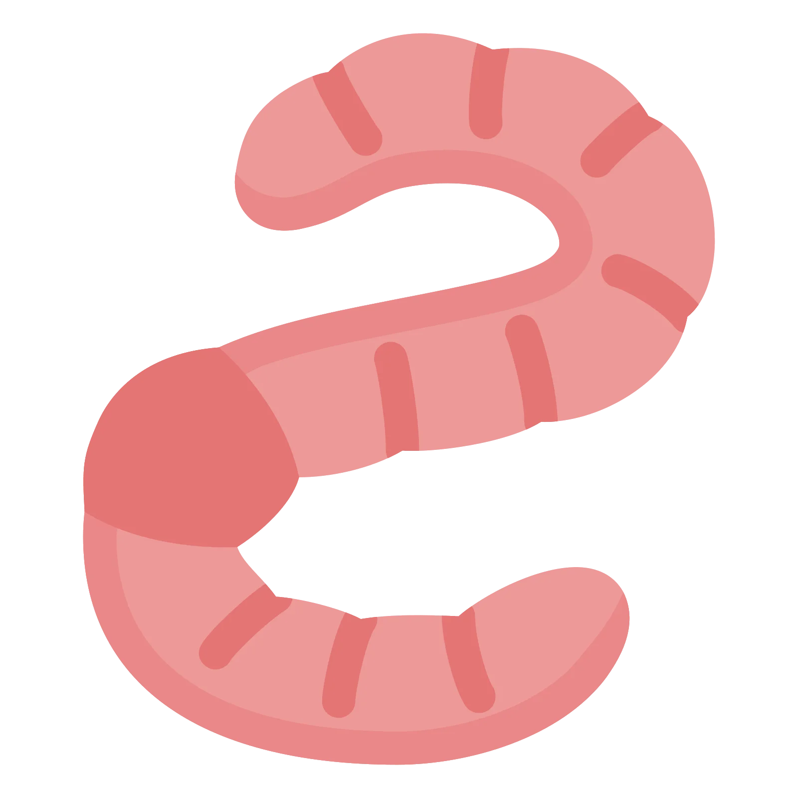 Playful Pink Squiggly Earthworm Cartoon Clipart Illustration Design