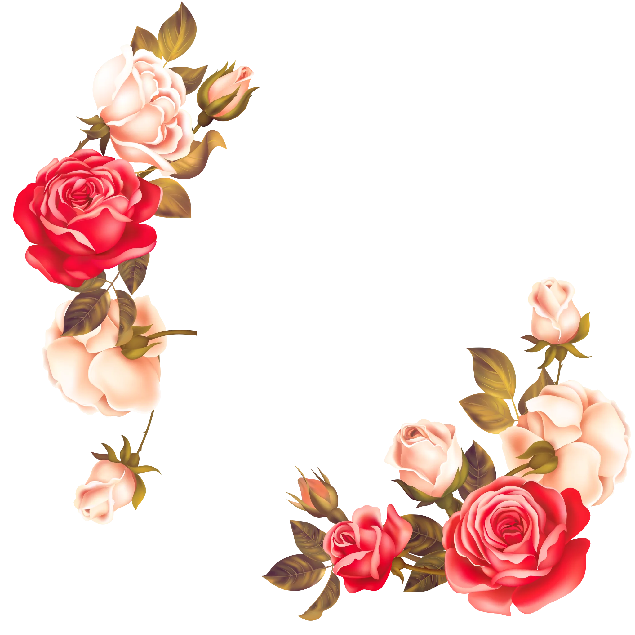 Romantic Watercolor Roses Floral Border Clipart Design Element