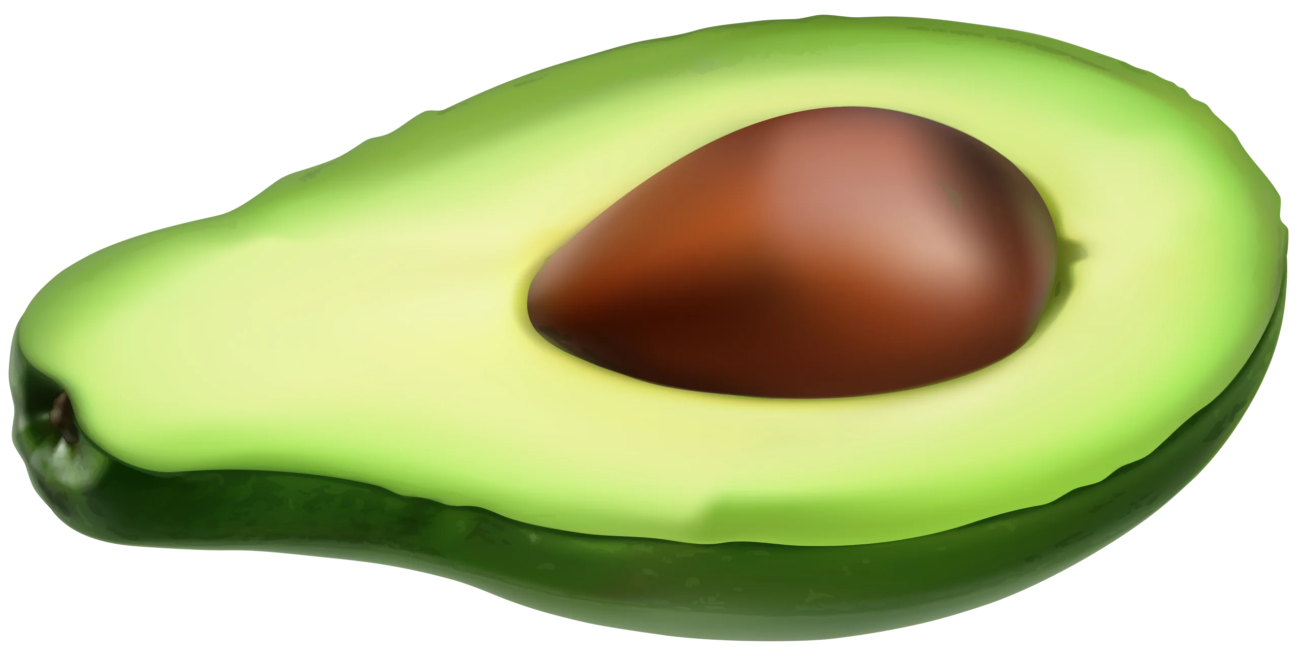 Fresh Cut Avocado Clipart: Smooth Green Flesh and Rich Wooden Seed