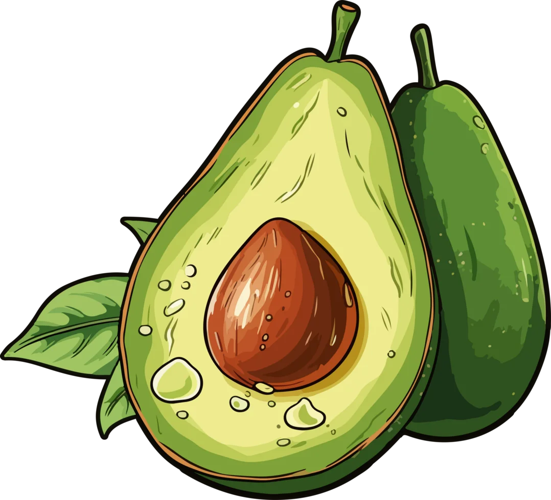 Fresh Green Avocado Clipart Illustration with Rich Seed and Glossy Texture