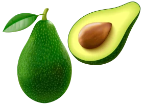 Fresh Green Avocado Clipart: Whole Fruit and Halved Section with Smooth Texture