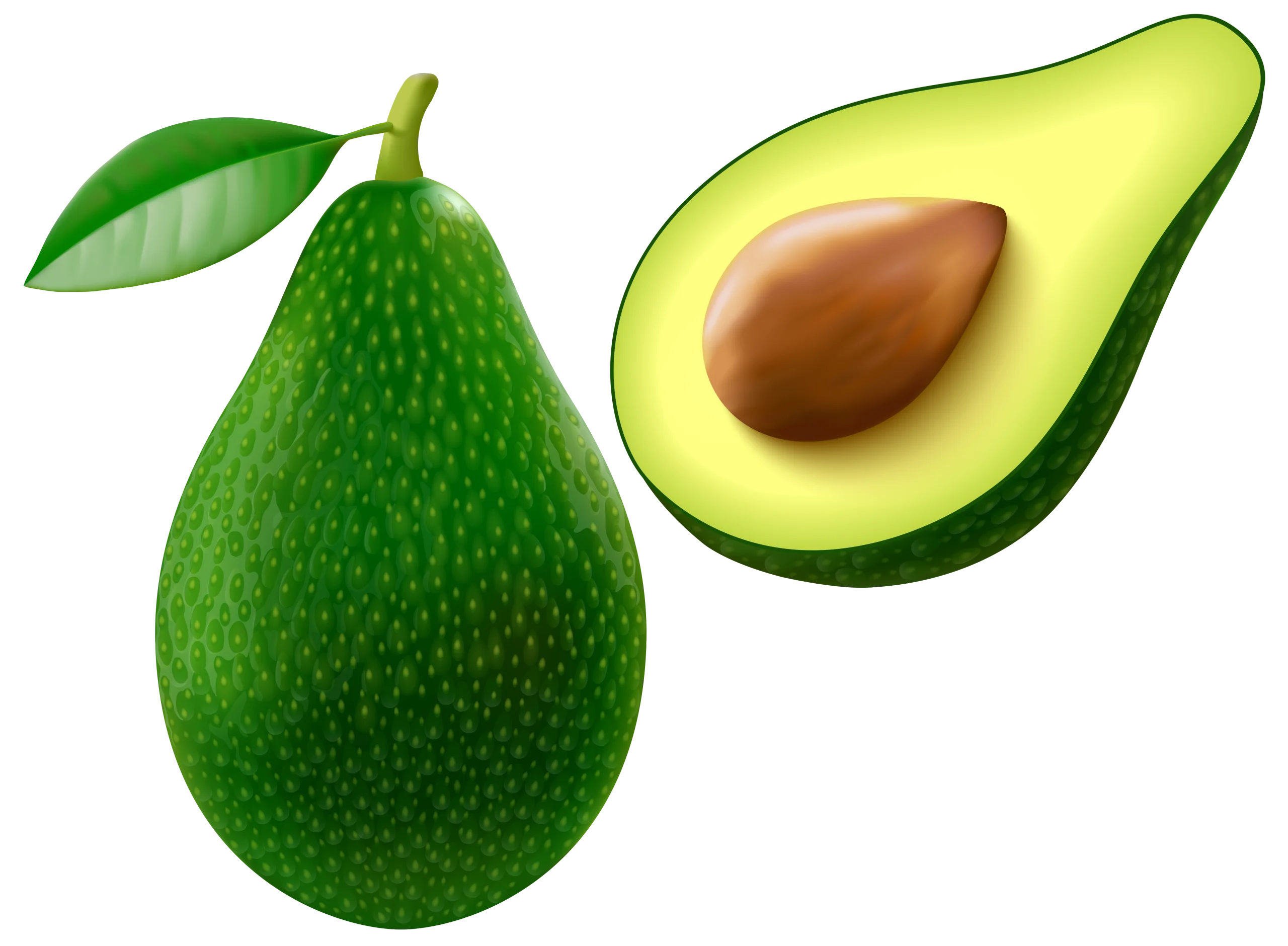 Fresh Green Avocado Clipart: Whole Fruit and Halved Section with Smooth Texture