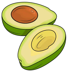 Fresh Green Avocado Halves Clipart Illustration - Nutritious Fruit Graphic Design