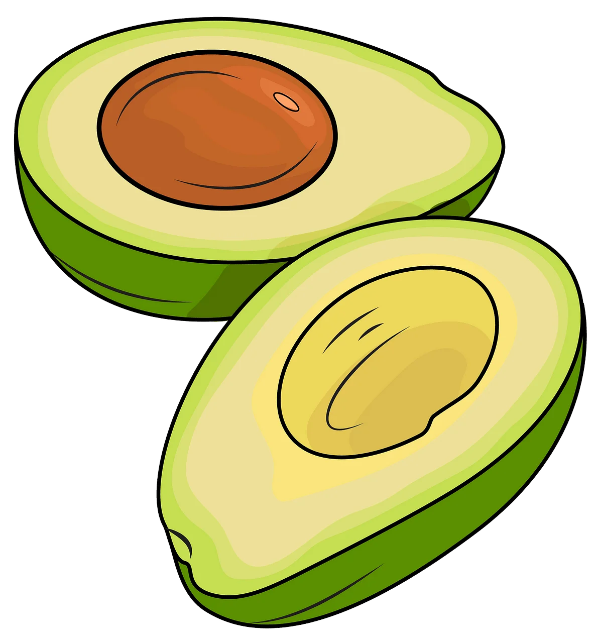 Fresh Green Avocado Halves Clipart Illustration - Nutritious Fruit Graphic Design