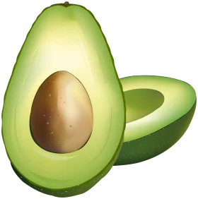 Fresh Green Avocado Halves Clipart Illustration with Realistic Seed Rendering