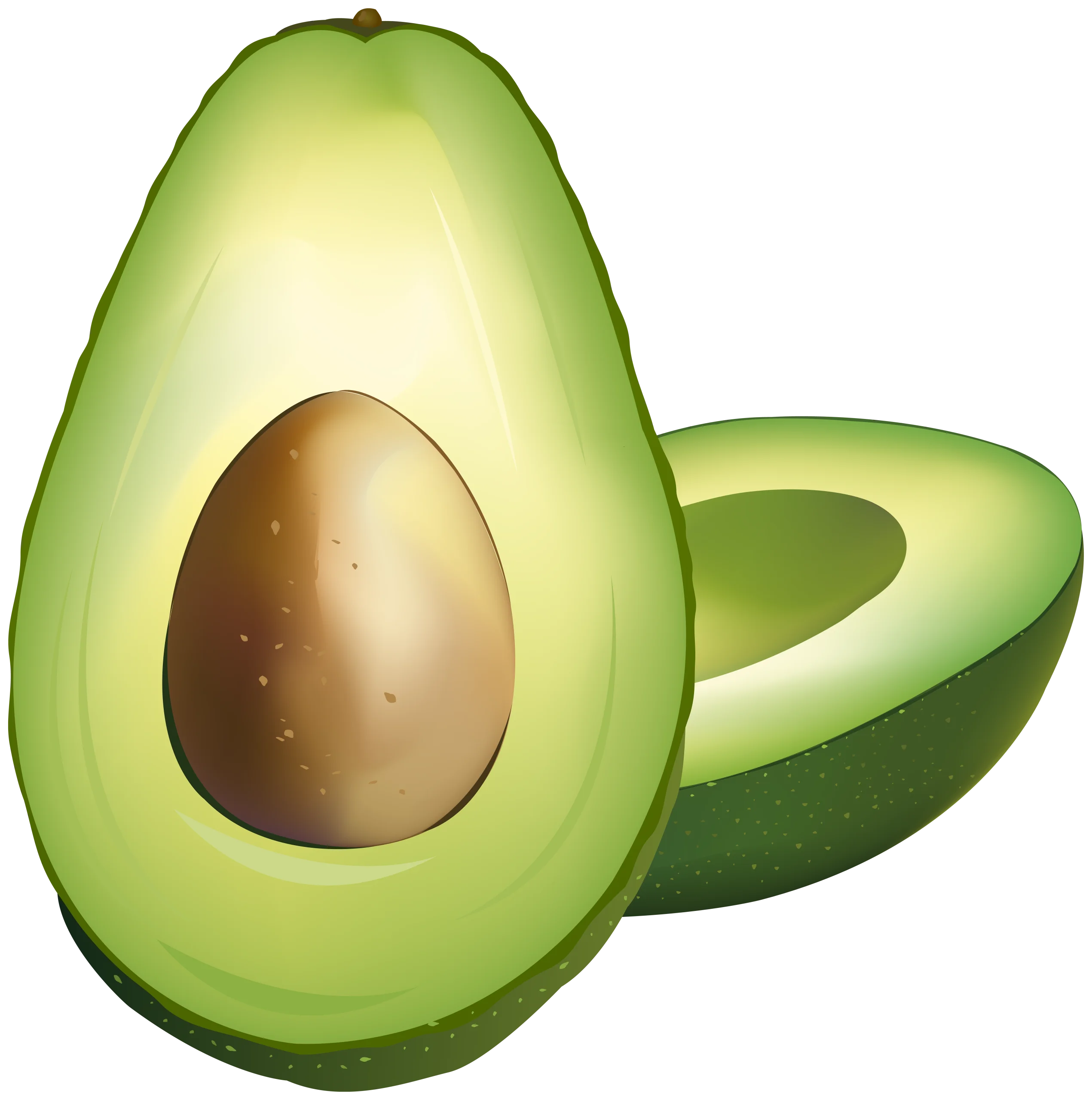 Fresh Green Avocado Halves Clipart Illustration with Realistic Seed Rendering