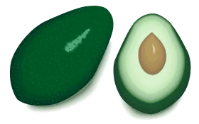 Fresh Green Avocado Halves Clipart: Realistic Graphic of Sliced Avocado Design
