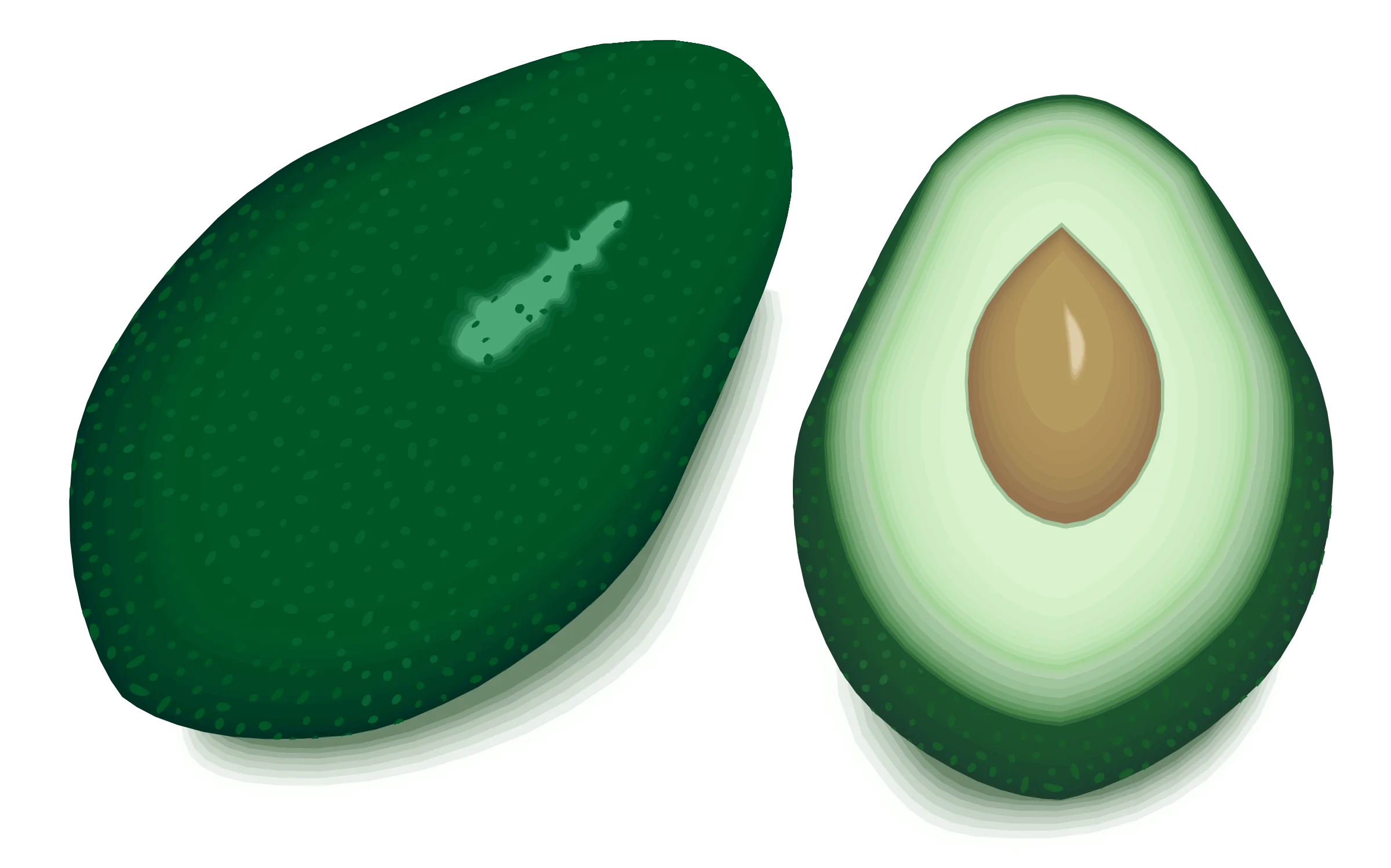 Fresh Green Avocado Halves Clipart: Realistic Graphic of Sliced Avocado Design