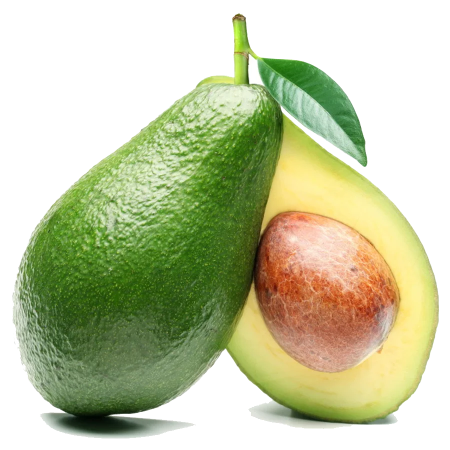 Fresh Green Avocado Halves Realistic Smooth Clipart Illustration