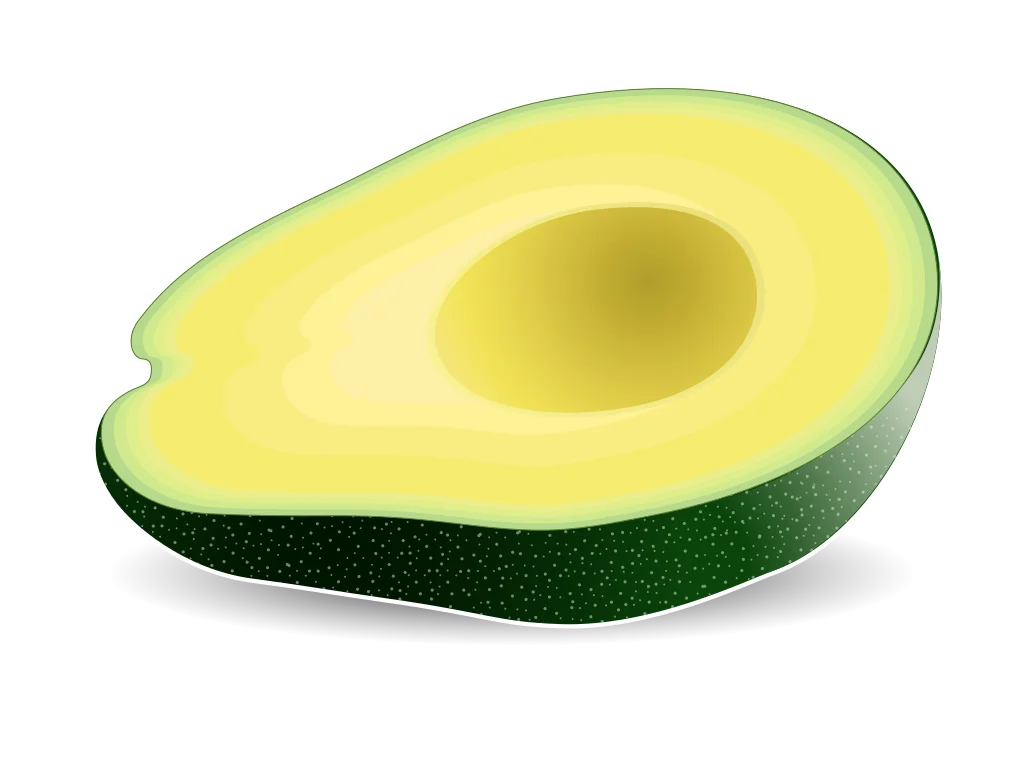 Fresh Halved Avocado Clipart: A Smooth, Creamy Illustration of Nutritious Green Fruit