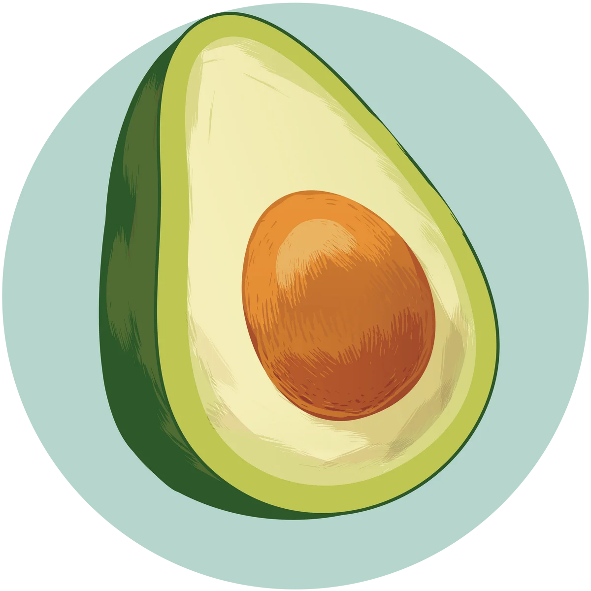 Fresh Halved Avocado Clipart Illustration with Smooth Color Gradient