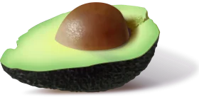 Fresh Halved Avocado Clipart with Smooth Texture and Earthy Brown Seed