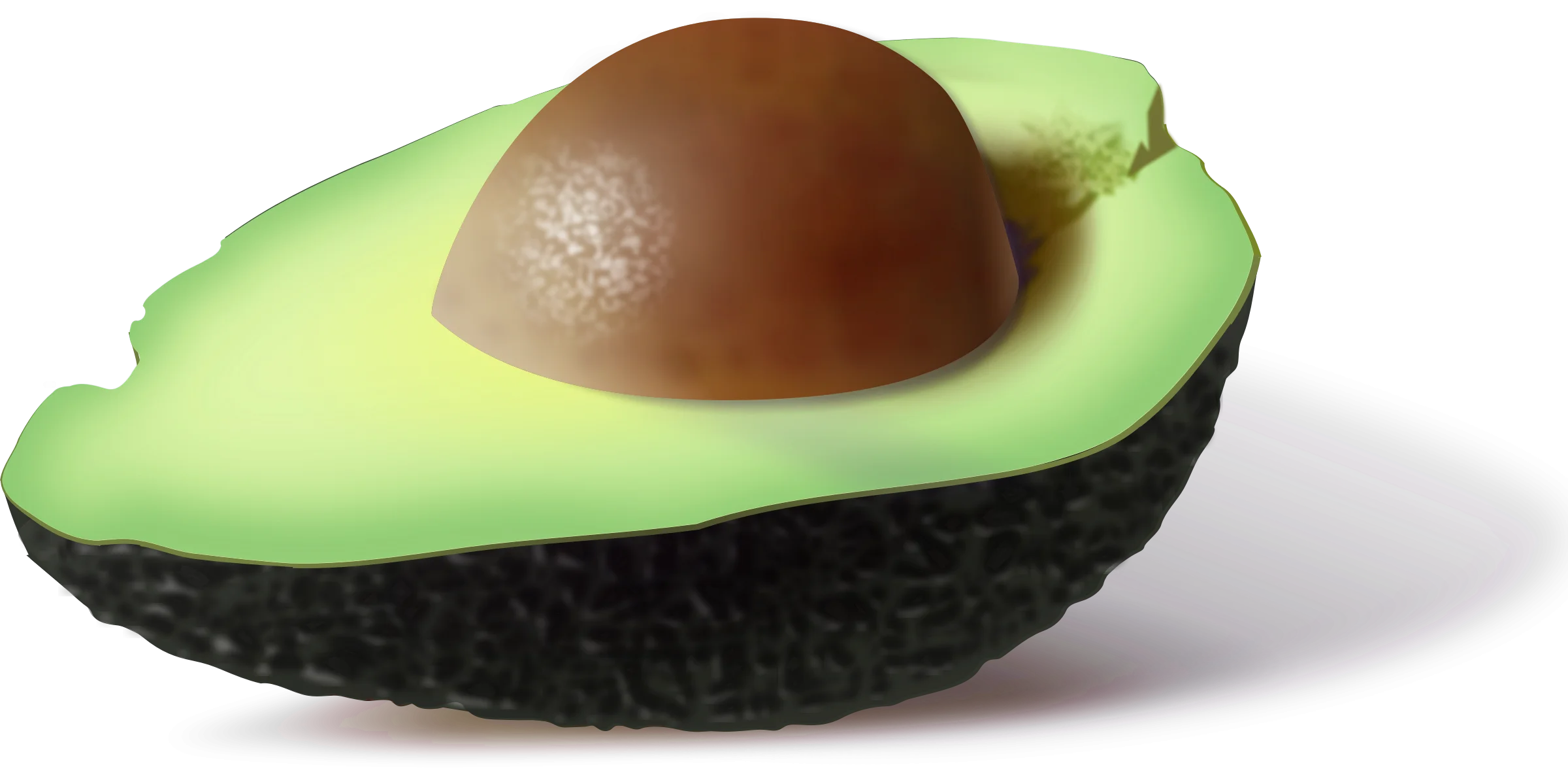 Fresh Halved Avocado Clipart with Smooth Texture and Earthy Brown Seed
