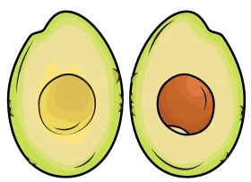 Fresh Halved Avocados Clipart: Realistic Green and Brown Illustration