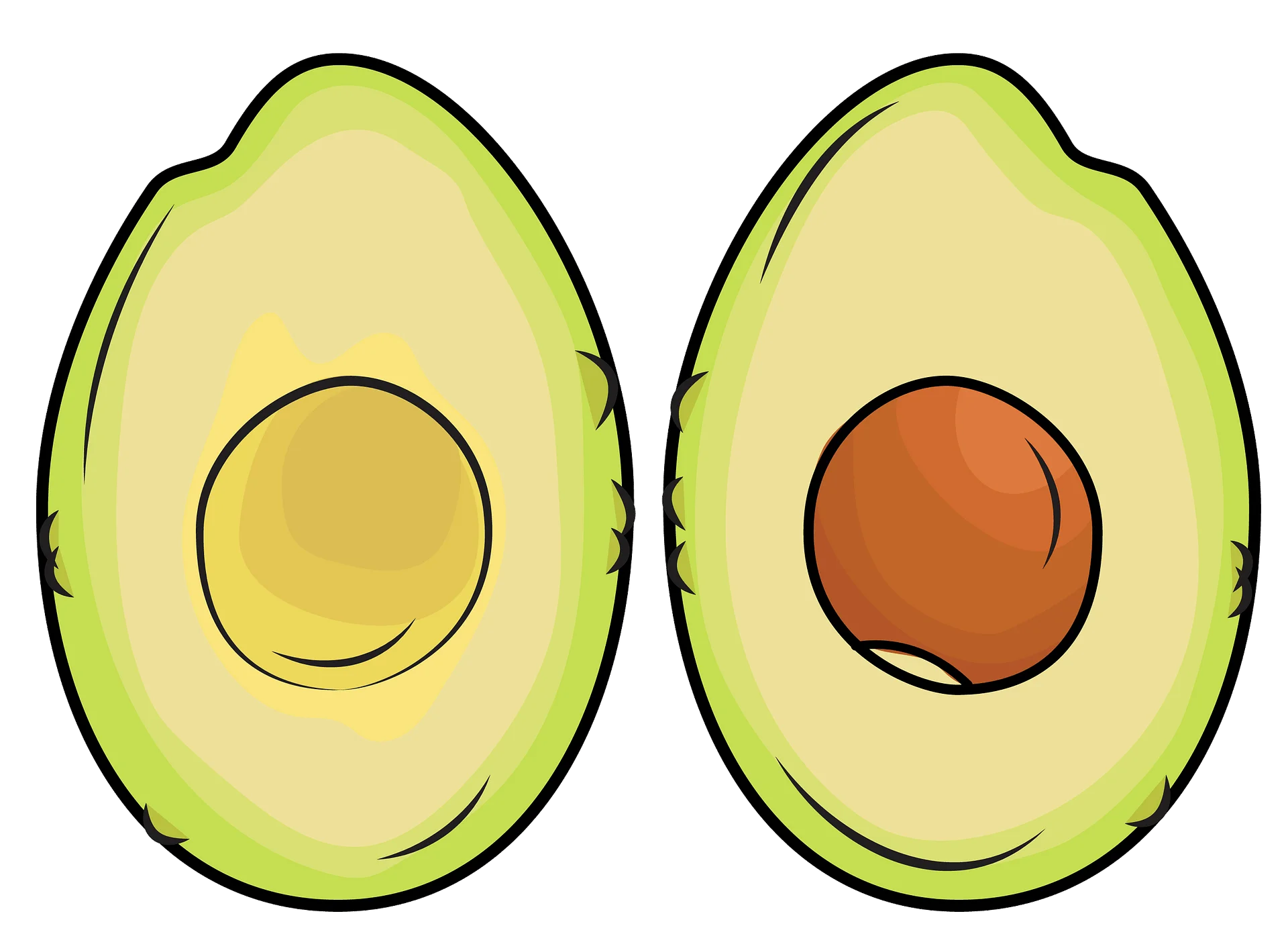 Fresh Halved Avocados Clipart: Realistic Green and Brown Illustration