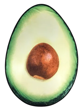 Halved Avocado Clipart: A Serene Slice of Botanical Perfection