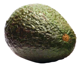 Realistic Dark Green Avocado Clipart Showcasing Textured Ripe Fruit Surface