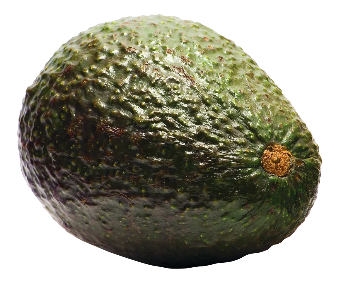 Realistic Dark Green Avocado Clipart Showcasing Textured Ripe Fruit Surface